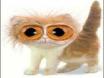 yeux de coker lol