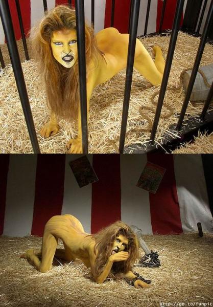 mé tu sé lé lionne sont vraiment dé reine